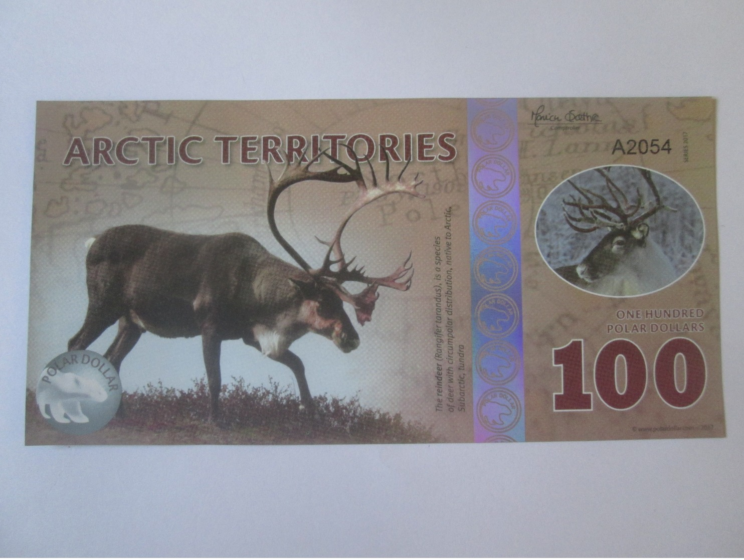 Arctic Territories 100 Polar Dollars 2017 Polymer Banknote UNC - Autres & Non Classés