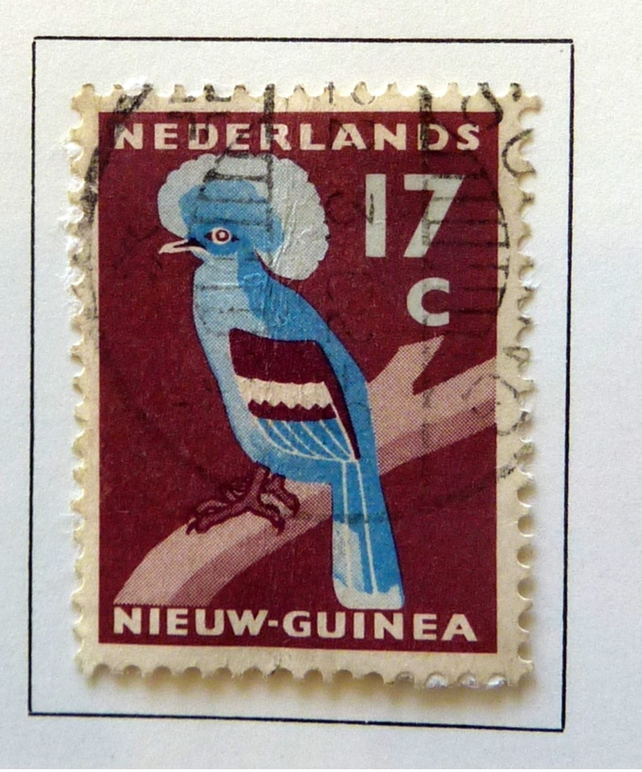 Netherlands(colonies) collection in album/stockbook and 69 booklets(MNH)