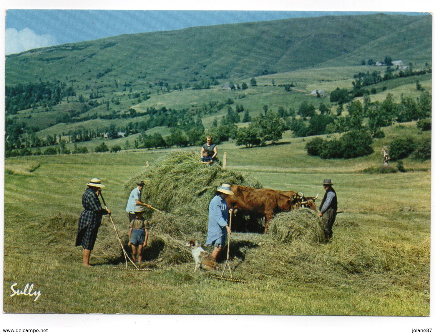 CPM    LA FENAISON   ATTELAGE DE BOEUFS - Cultures