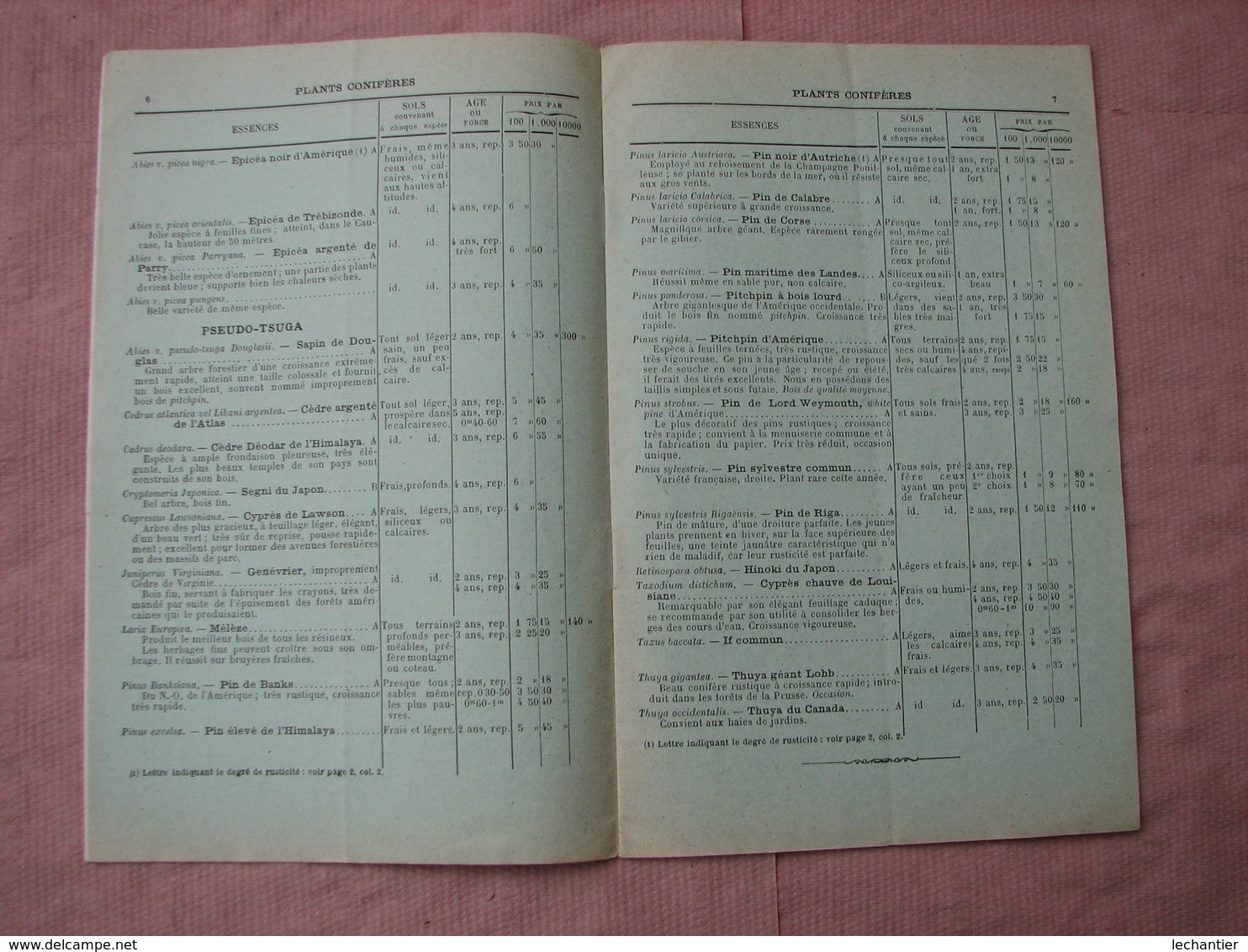 Catalogue 1911-1912 PEPINIERES  FORESTIERES Du DOMAINE Des VAUX (La Ferté-Imbault Loir Et Cher T.B.E. - Other & Unclassified