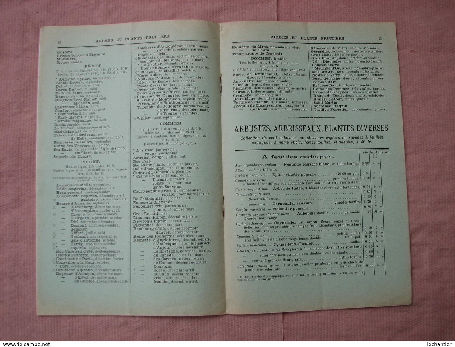 Catalogue 1911-1912 PEPINIERES  FORESTIERES Du DOMAINE Des VAUX (La Ferté-Imbault Loir Et Cher T.B.E. - Autres & Non Classés