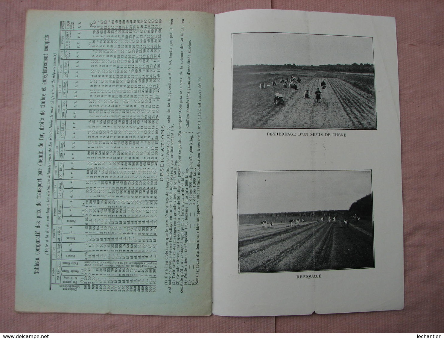 Catalogue 1911-1912 PEPINIERES  FORESTIERES du DOMAINE des VAUX (La Ferté-Imbault loir et Cher T.B.E.