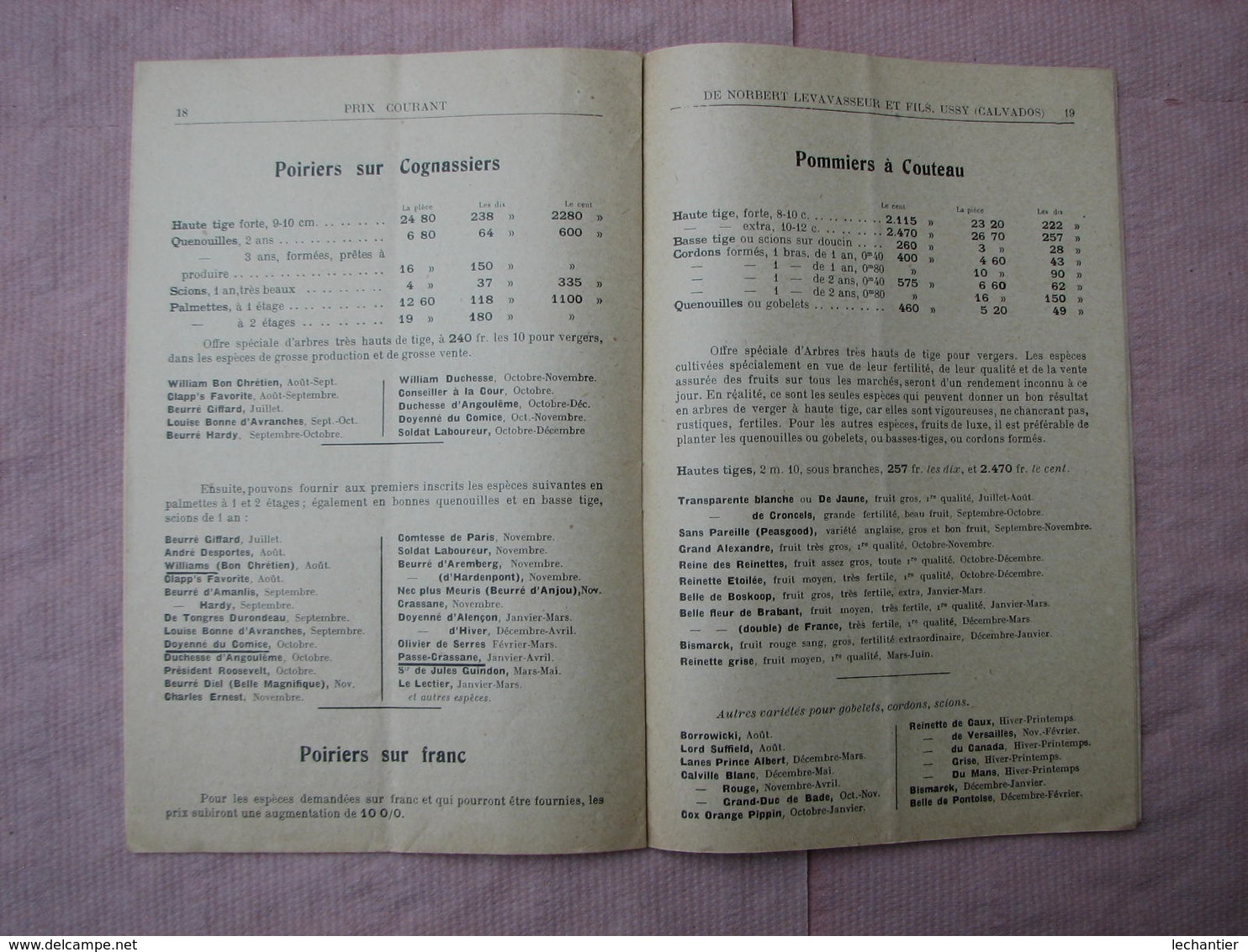 Catalogue 1926-1927 PEPINIERES NORBERT LEVAVASSEUR Et FILS  à USSY ( Calvados) - Other & Unclassified