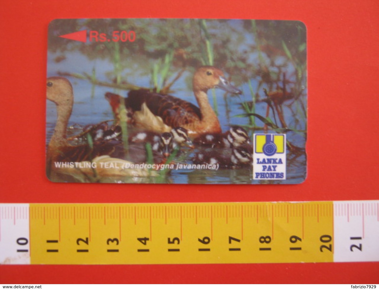 TEL.1 SCHEDE TELEFONICHE - 1996 SRI LANKA CEYLON 500 RS. GERMANO REALE WHISTLING TEAL - Sri Lanka (Ceylon)