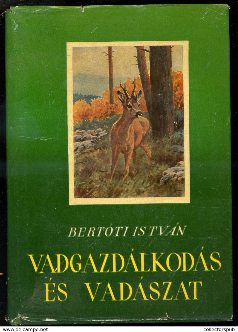 Vadgazdálkodás és Vadászat - 1956. Dr. Bertóti István. Szép! - Non Classés