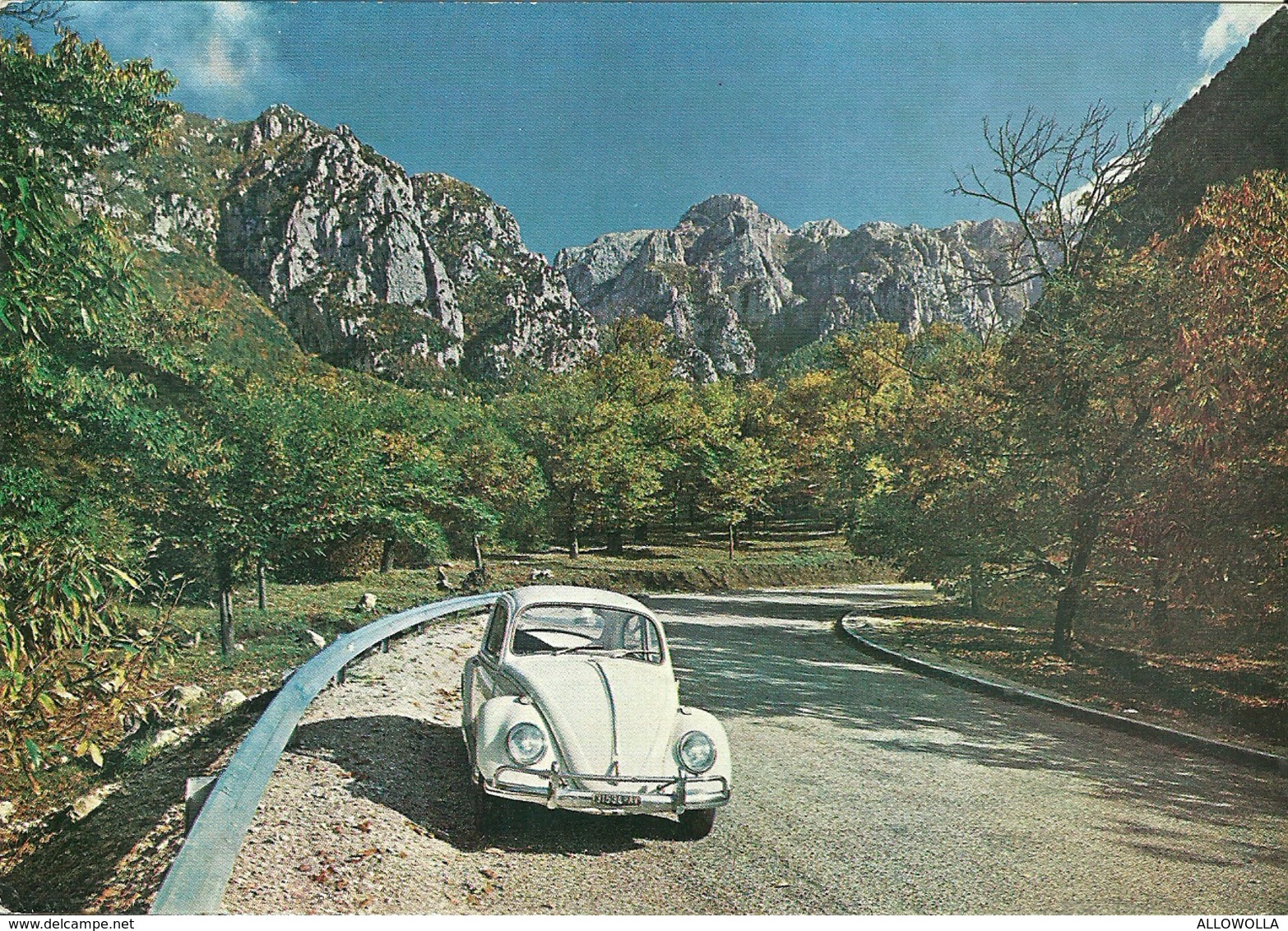 2920 "SERINO (AVELLINO) LA VETTA DEL MONTE TERMINIO M. 1786 - VW MAGGIOLINO" CARTOLINA POSTALE ORIGINALE NON SPEDITA - Avellino