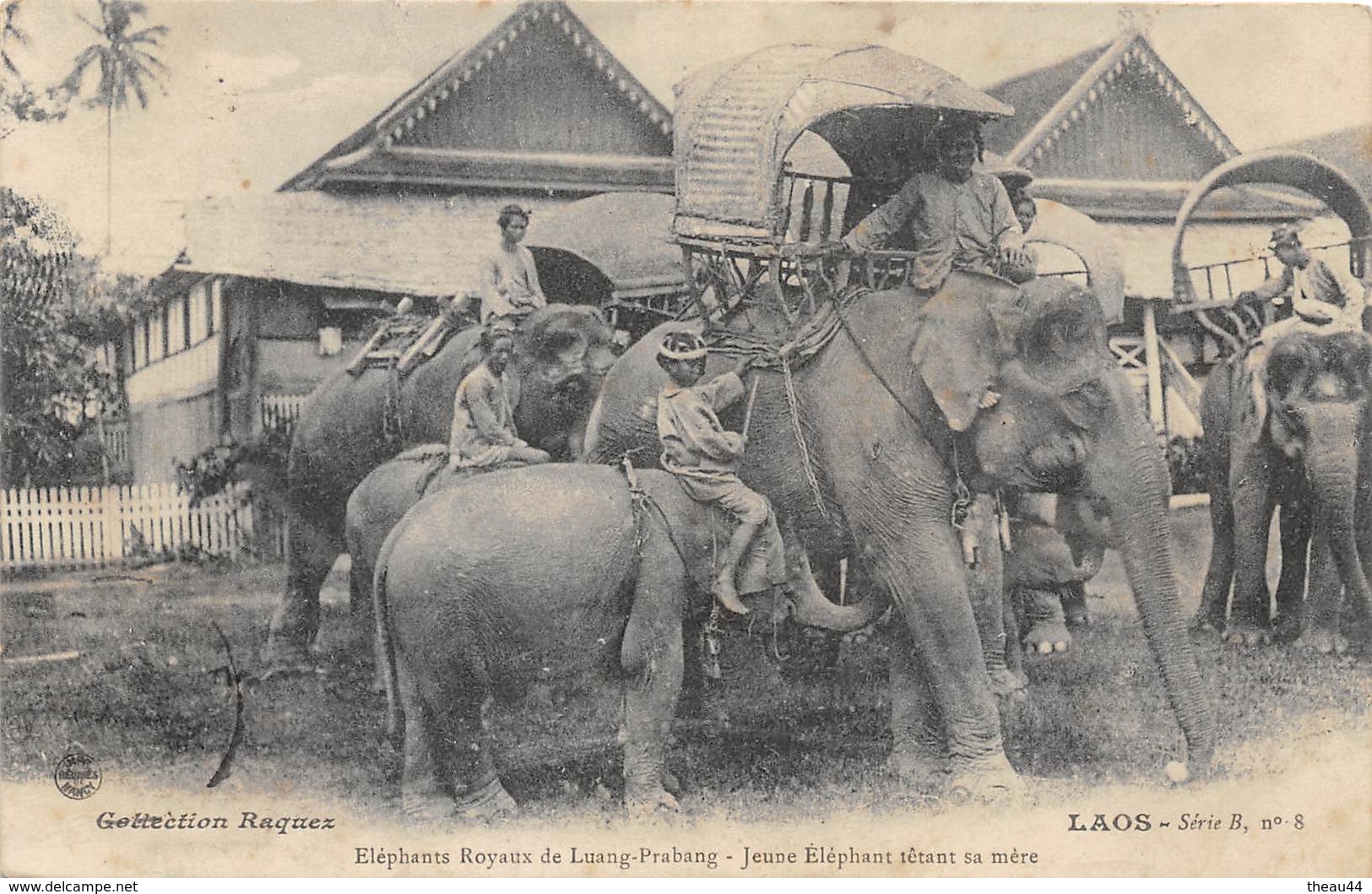 ¤¤  -  LAOS   -  Eléphants Royaux De LUANG-PRABANG  -  Jeune Eléphant Têtant Sa Mère   -   ¤¤ - Laos