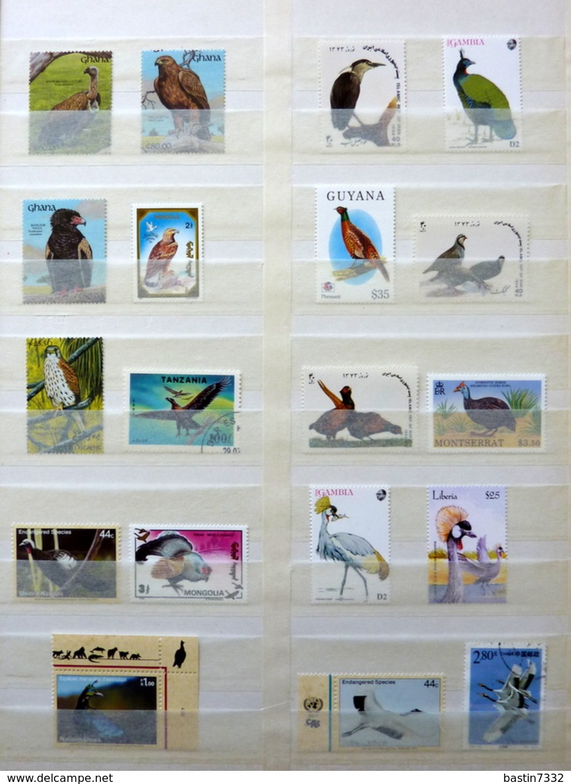 Birds,vogels,oiseaux,vögel,pájaros,uccelli collection in 2 stockbooks(mostly MNH/Postfris/Neuf)