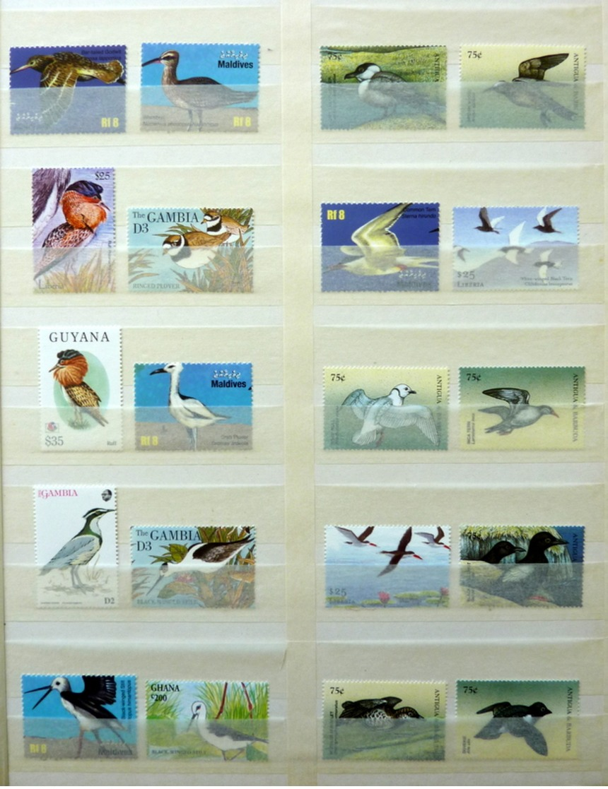 Birds,vogels,oiseaux,vögel,pájaros,uccelli collection in 2 stockbooks(mostly MNH/Postfris/Neuf)