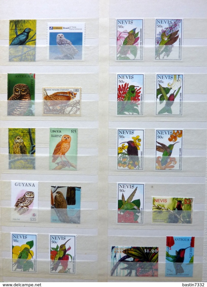 Birds,vogels,oiseaux,vögel,pájaros,uccelli collection in 2 stockbooks(mostly MNH/Postfris/Neuf)