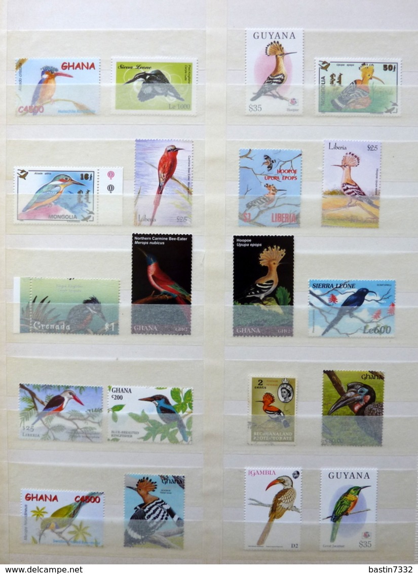 Birds,vogels,oiseaux,vögel,pájaros,uccelli collection in 2 stockbooks(mostly MNH/Postfris/Neuf)