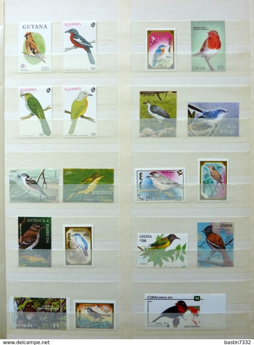 Birds,vogels,oiseaux,vögel,pájaros,uccelli collection in 2 stockbooks(mostly MNH/Postfris/Neuf)