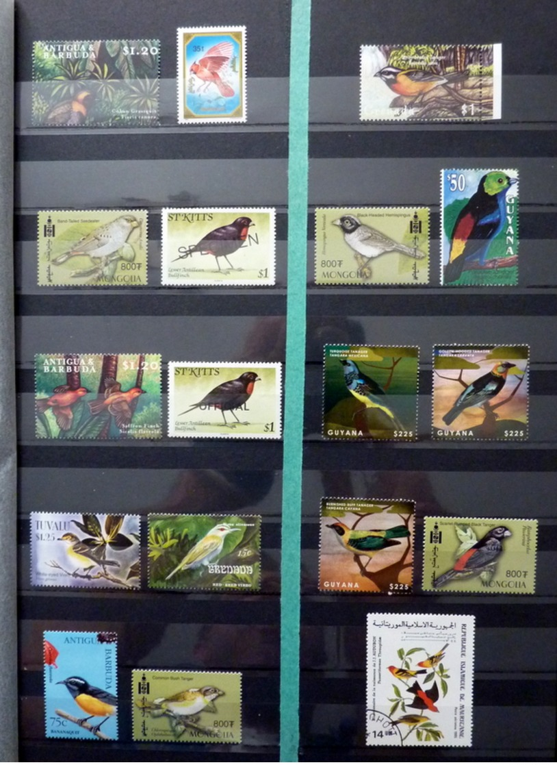 Birds,vogels,oiseaux,vögel,pájaros,uccelli collection in 2 stockbooks(mostly MNH/Postfris/Neuf)