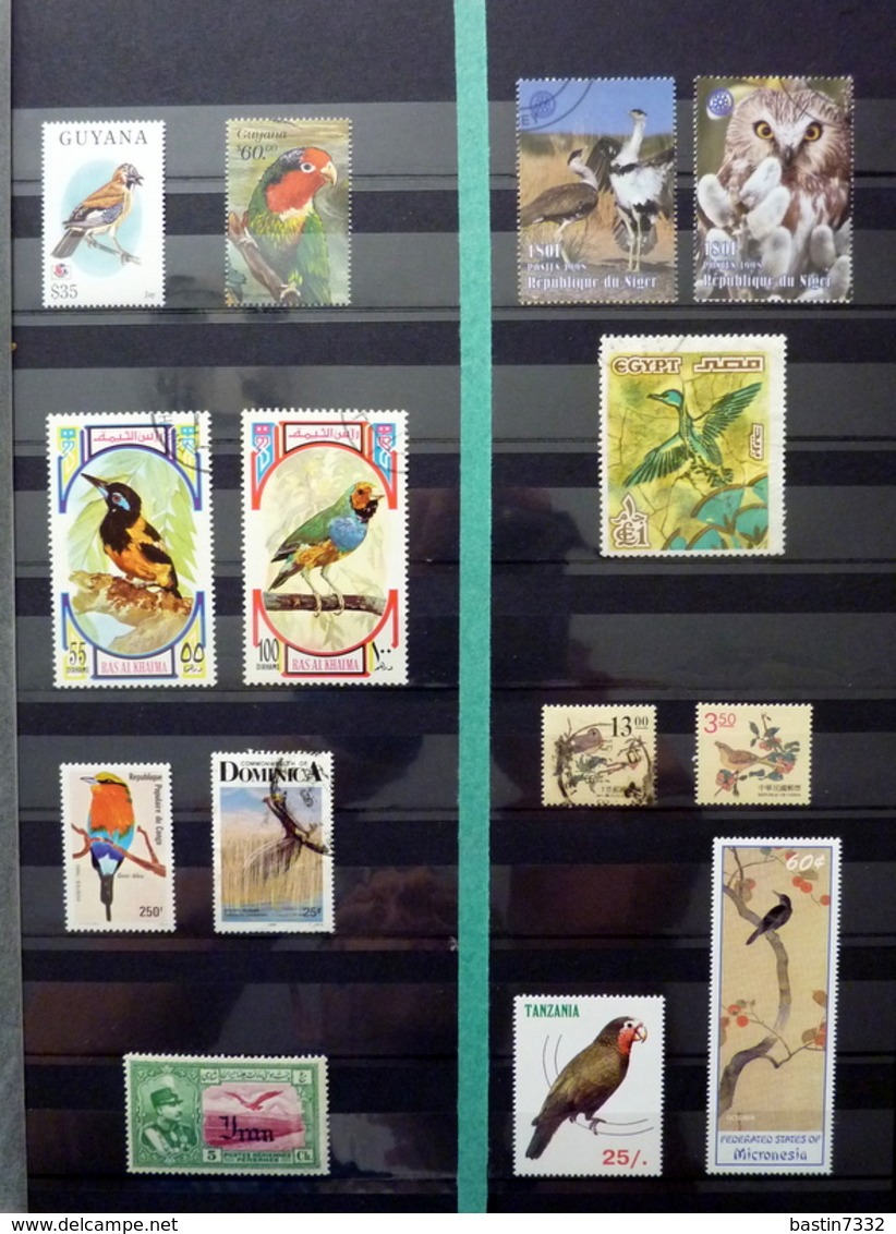 Birds,vogels,oiseaux,vögel,pájaros,uccelli collection in 2 stockbooks(mostly MNH/Postfris/Neuf)