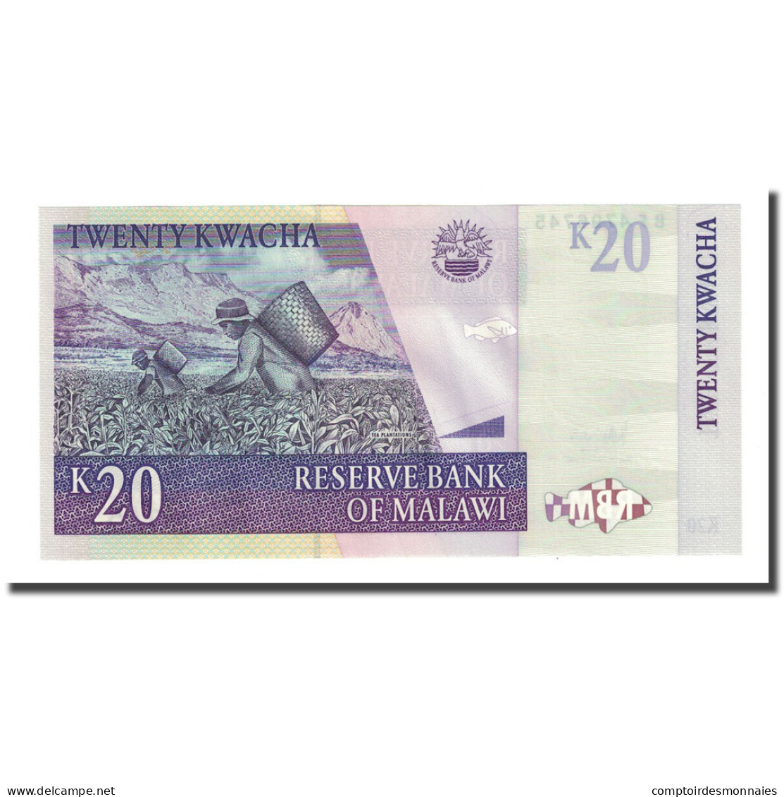 Billet, Malawi, 20 Kwacha, 2007-10-31, KM:52d, NEUF - Malawi