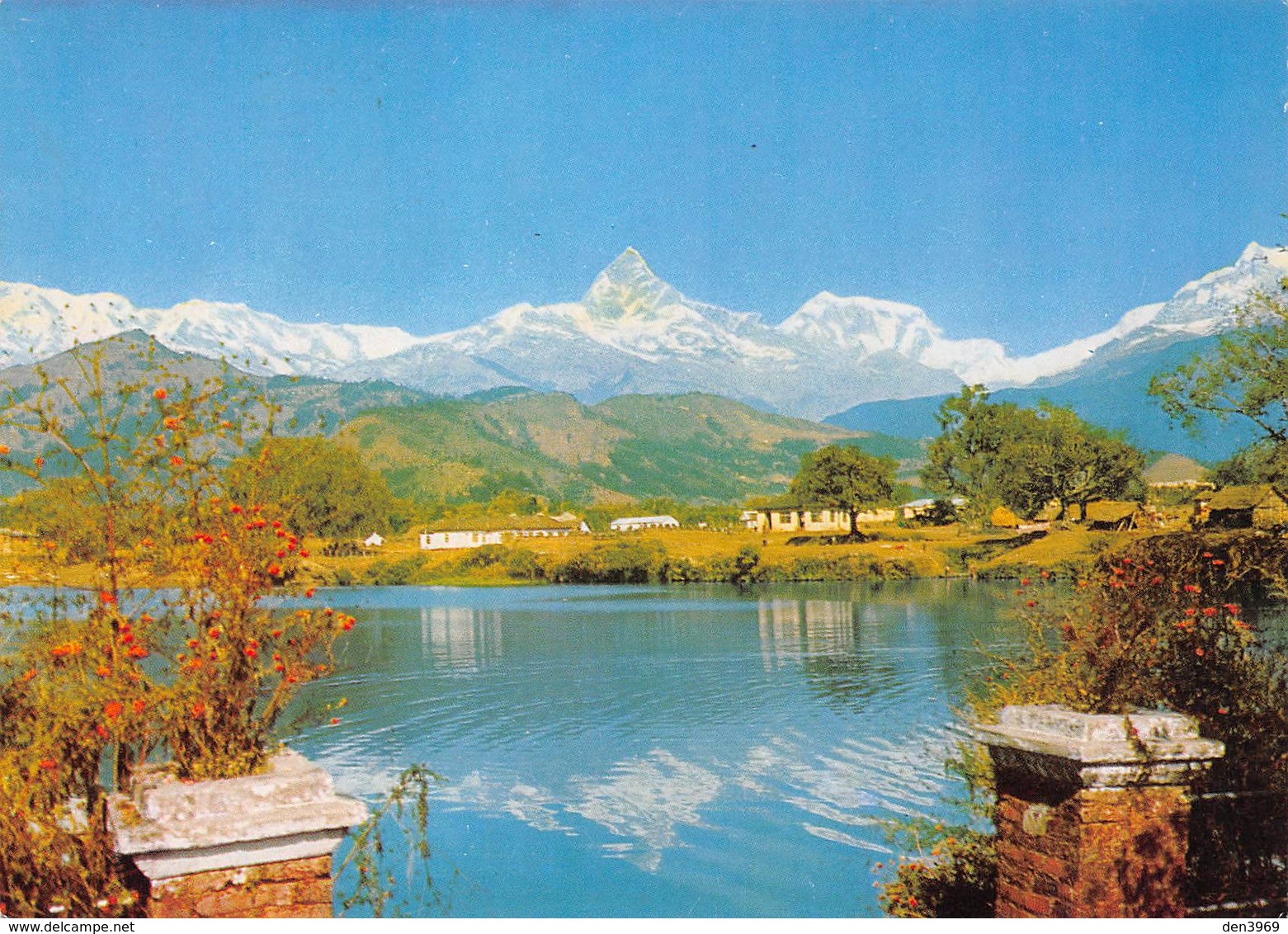 Népal - Mont Machhapuchare - Courtesy : K.P. Pradhan - Timbres - Népal