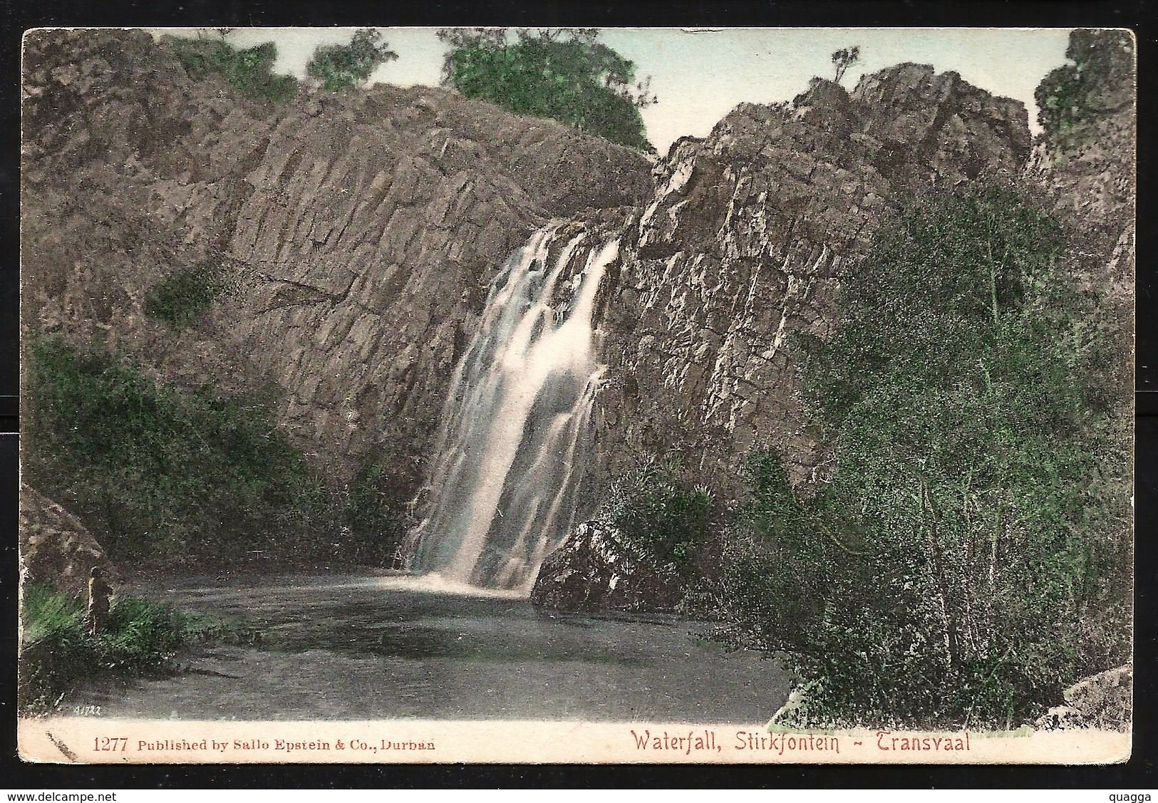 South Africa 1904. Waterfall, Stirkfontein (sic) = Sterkfontein. A Sallo Epstein Postcard. - Sud Africa