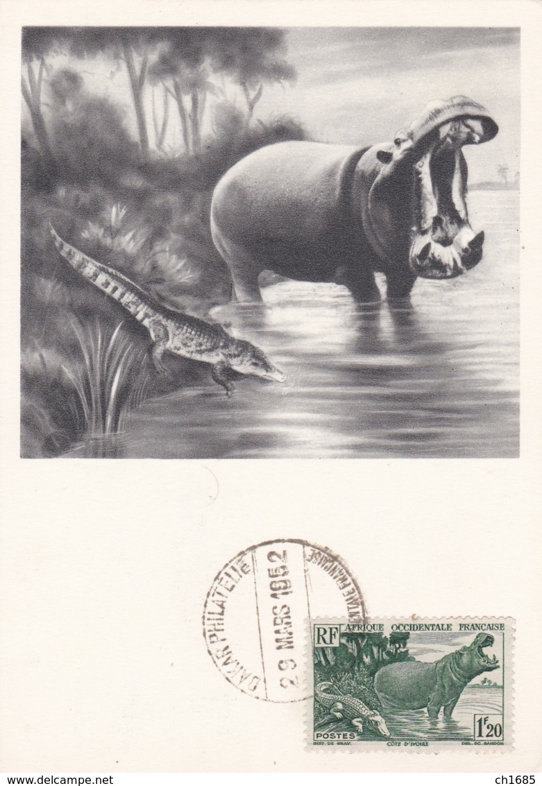 COTE D'IVOIRE   :  Carte IONYL  .  Hippopotame Et Crocodile  . Série AOF  .  Oblitération Dakar - Côte-d'Ivoire