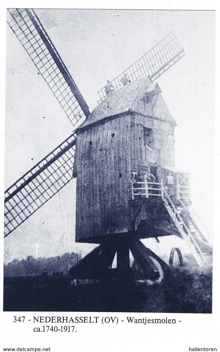 Nederhasselt: Wantjesmolen ( 2 Scans) - Autres & Non Classés