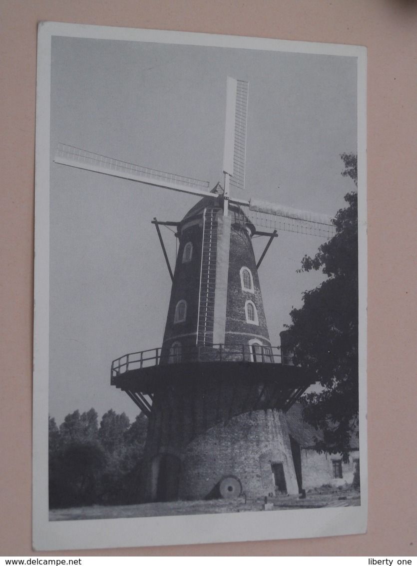 Windmolen St. Pauwels ( Blanco Achterkant / Alléén Benaming ) Roomanmolen / Anno 19?? ( Zie / Voir / See Photo ) ! - Sint-Gillis-Waas