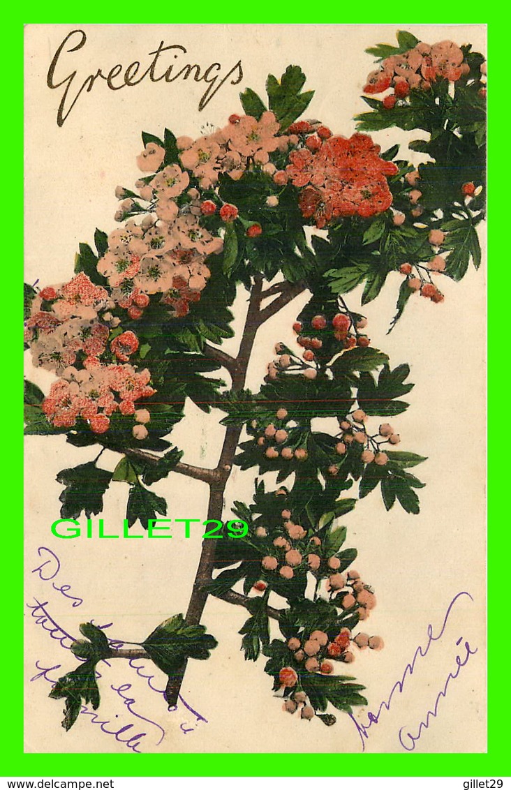 FLOWERS, FLEURS - BRANCHE DE FLEURS - GREETINGS - CIRCULÉE EN 1906 - VALENTINE'S SERIES - - Fleurs