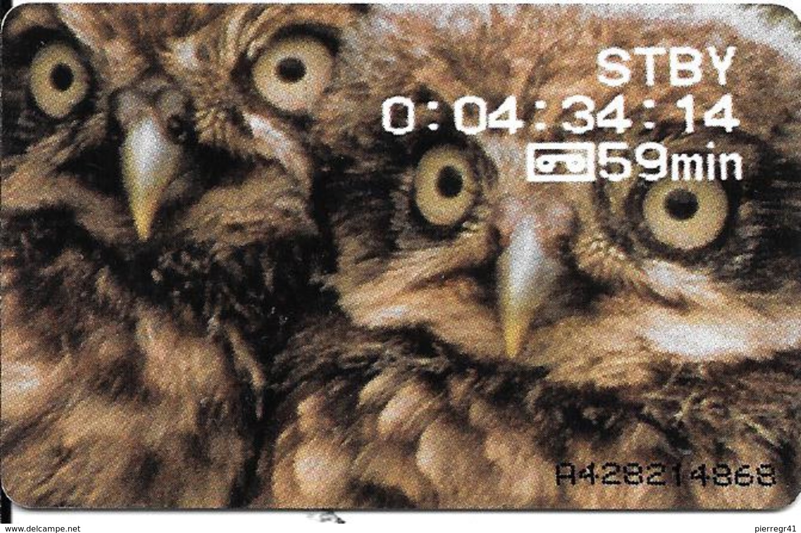 CARTE-PUCE-PAYS BAS-SO3-25- HIBOUX-UTILISE-TBE- - Owls