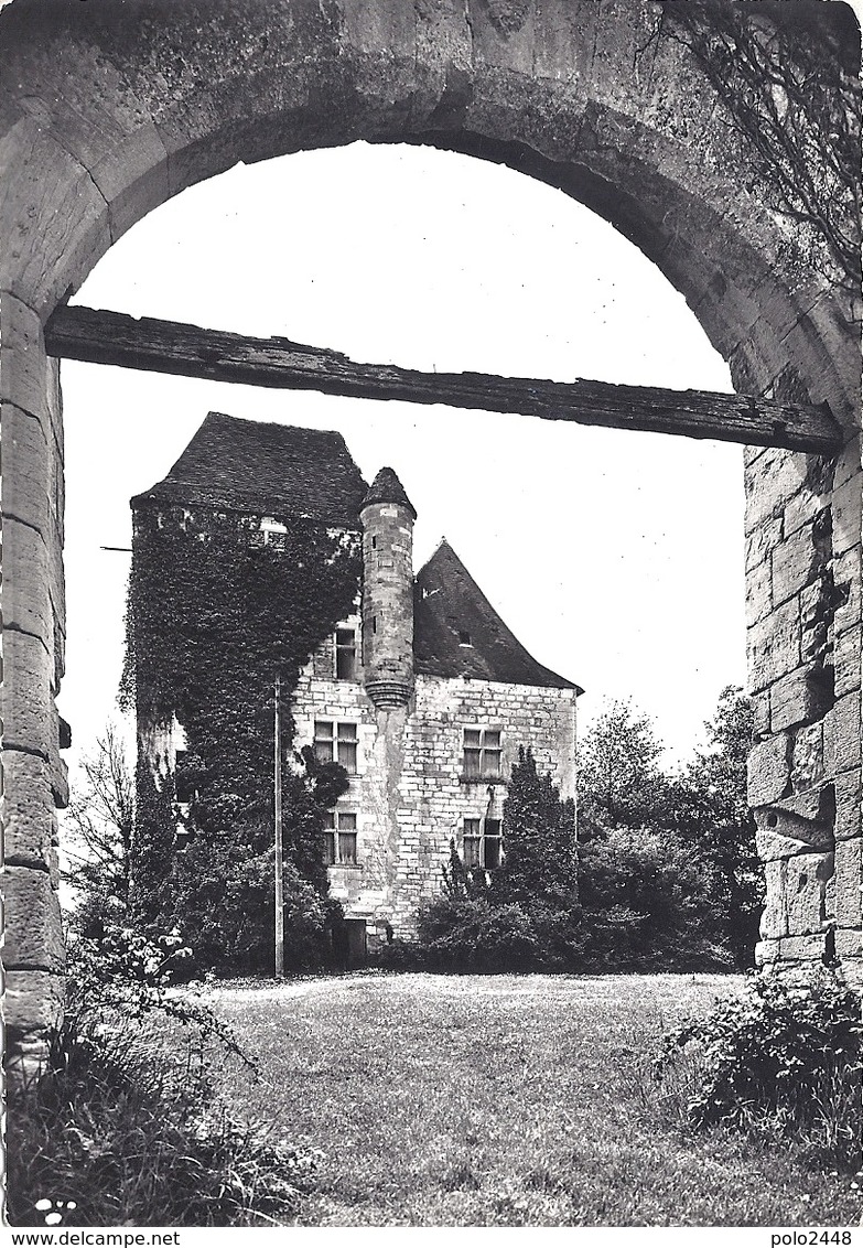 CPM - Saint Cyprien - Les Ruines Du Château De Fages - Autres Communes