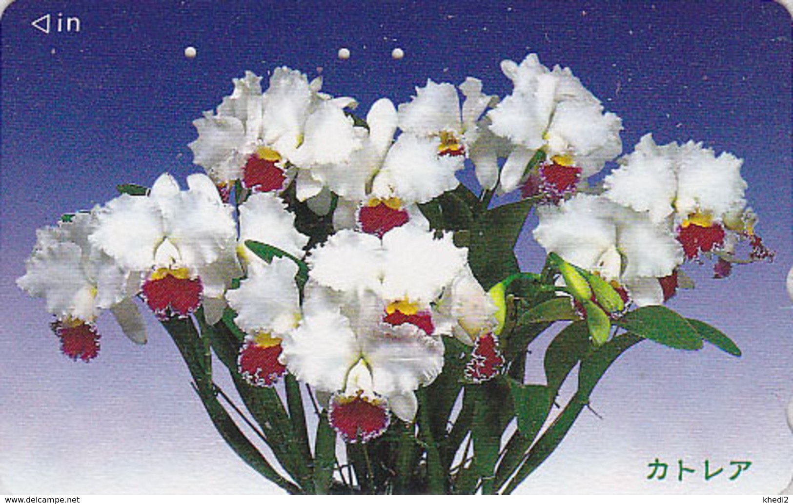 Télécarte Japon / 110-016 - Fleur - ORCHIDEE - ORCHID Flower Japan Phonecard - ORQUIDEA -  2377 - Fleurs