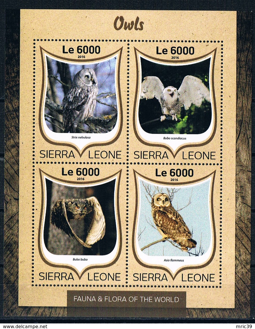 Bloc Sheet  Oiseaux Hiboux Birds Owls  Neuf  MNH ** Sierra Leone 2016 - Colibríes