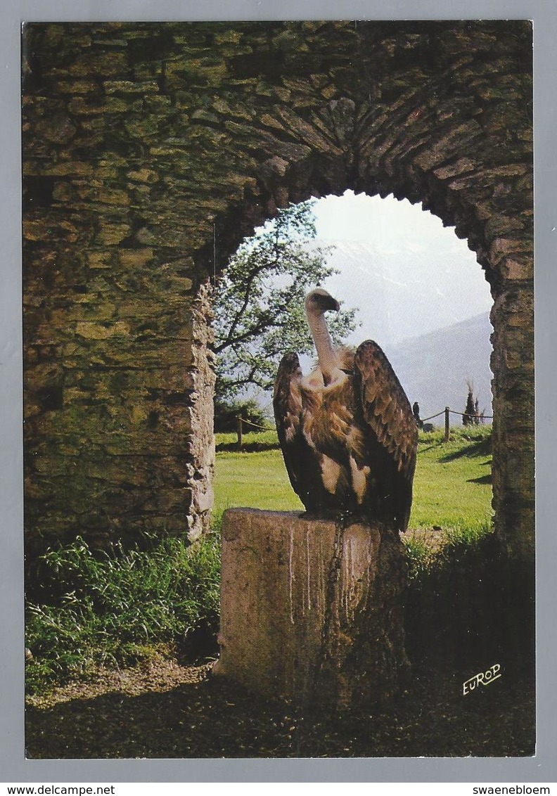 FR.- BEAUCENS. DONJON DES AIGLES. Hautes Pyrénées. - Andere & Zonder Classificatie