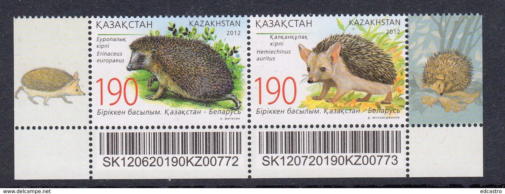 2.- KAZAKHSTAN 2012 Fauna. Hedgehogs. Big-eared Hedgehog (Kazakhstan), And European Hedgehog (Belarus) - Roedores