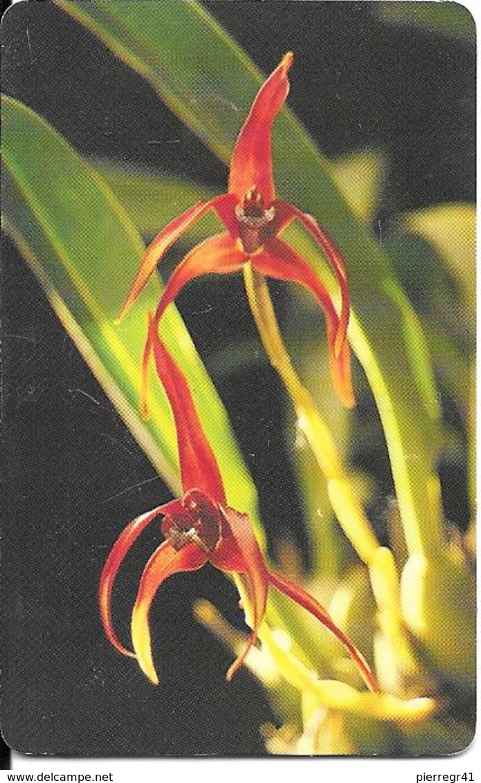 -CARTE-PUCE-VENEZUELA-Bs.2000-06/96--ORCHIDEE-TBE - Fleurs