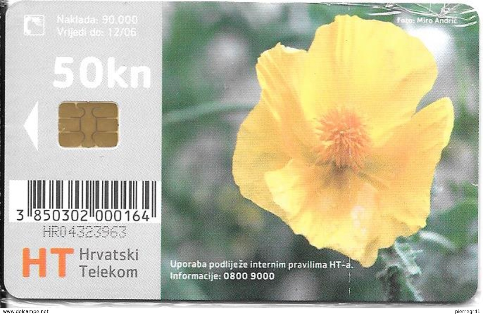 -CARTE-PUCE-CROATIE-FLEURS JAUNES Dites MACADAM-NSB-TBE - Blumen