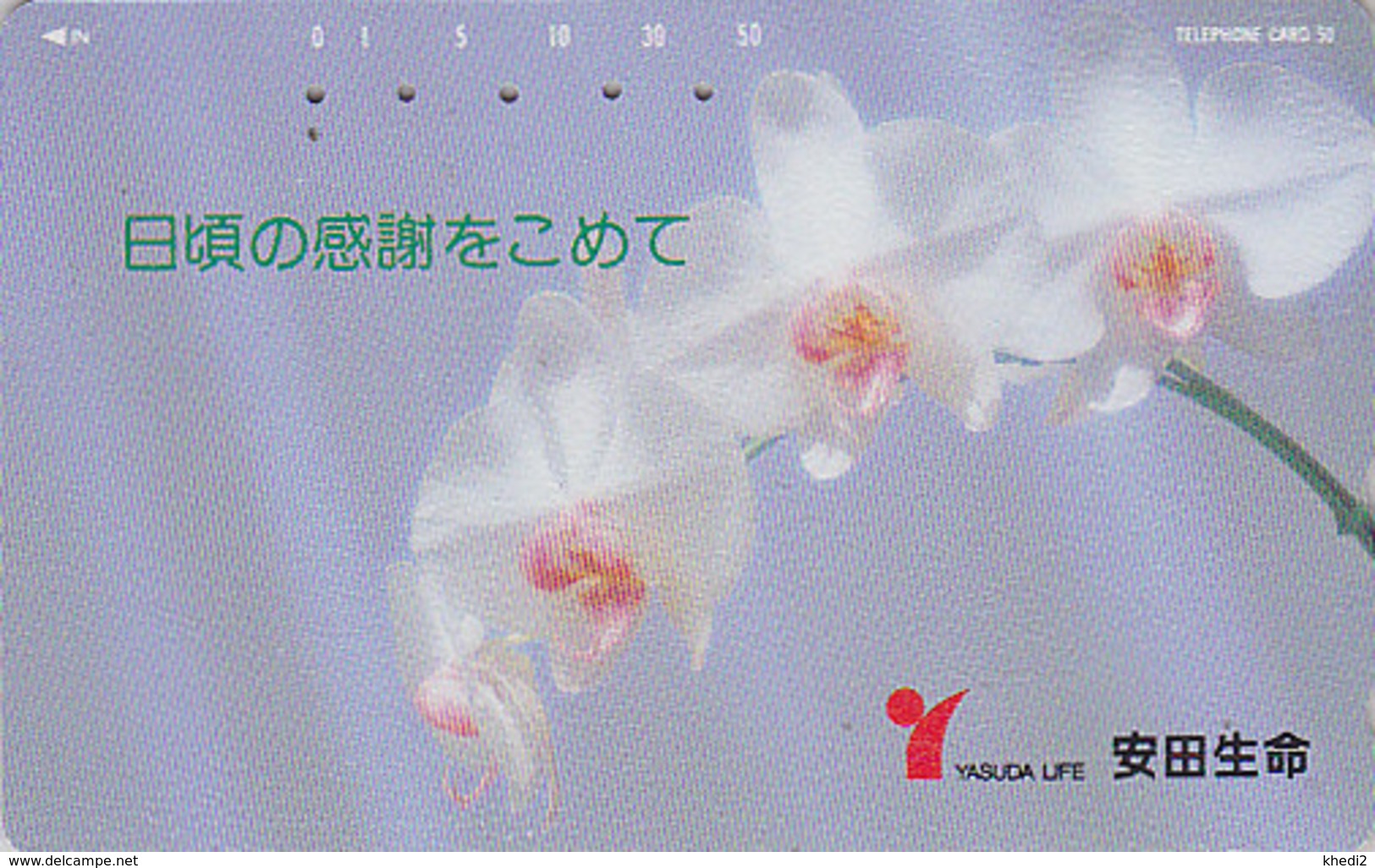 Télécarte Japon / 110-67095 - Fleur - ORCHIDEE - ORCHID Flower Japan Phonecard / Motif MD 110-176 - 2400 - Flowers