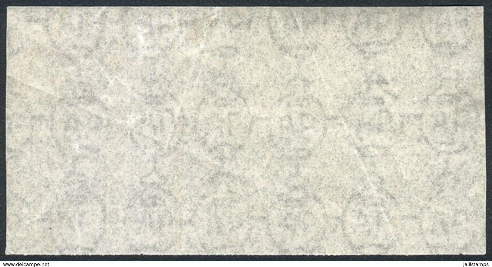 ARGENTINA: Extremely Rare Large Fragment (97 X 50 Mm) Of Original Gummed Paper With "AR In Oval" Watermark Used In The 1 - Other & Unclassified
