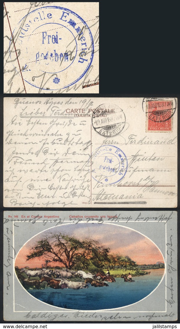 ARGENTINA: Postcard (horses Crossing A Pond) Franked With 5c. Plowman, Sent From Buenos Aires To Germany On 10/AU/1918,  - Other & Unclassified