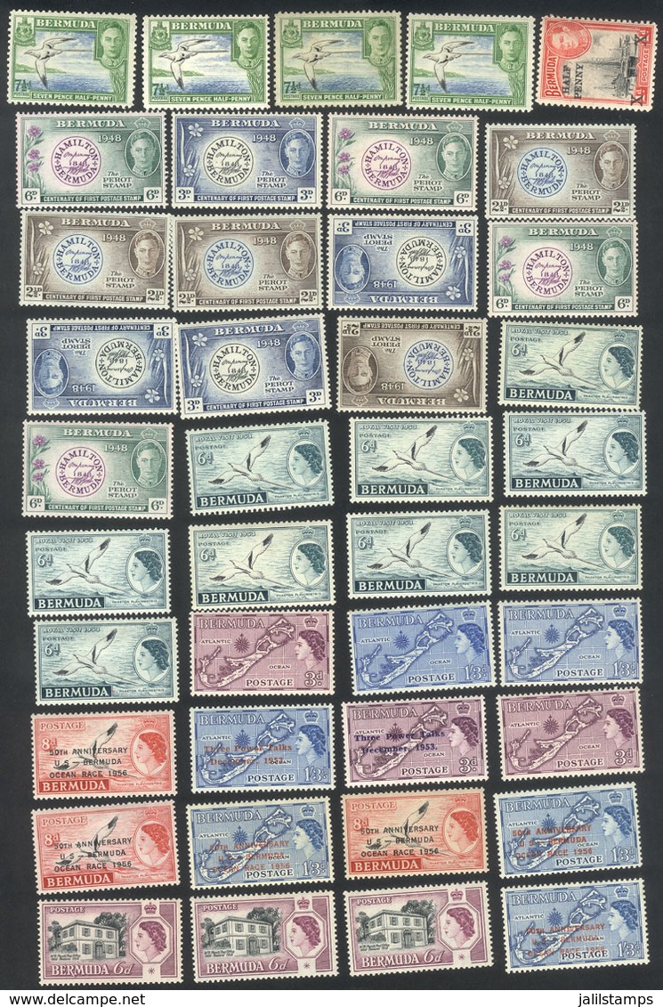 BERMUDA: Lot Of Mint Stamps And Complete Sets (many Are Never Hinged), Very Fine General Quality And VERY THEMATIC, Scot - Bermudas