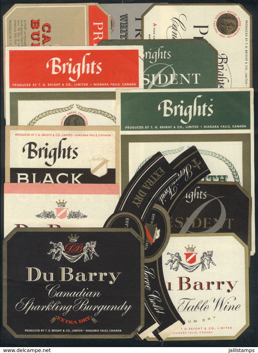 CANADA: Good Number Of Wine Labels, Circa 1960s, Excellent Quality! - Sin Clasificación