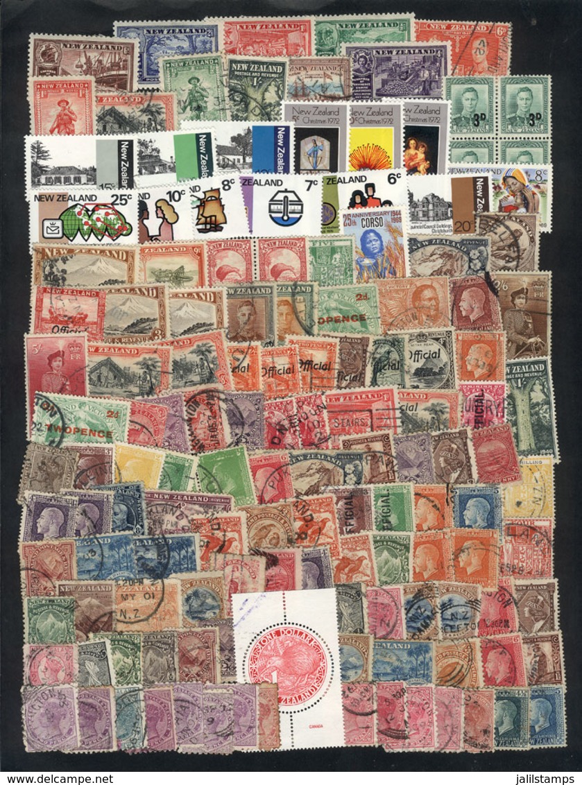 NEW ZEALAND: Lot Of Varied Stamps, Used And Mint, Fine General Quality, Interesting! - Other & Unclassified