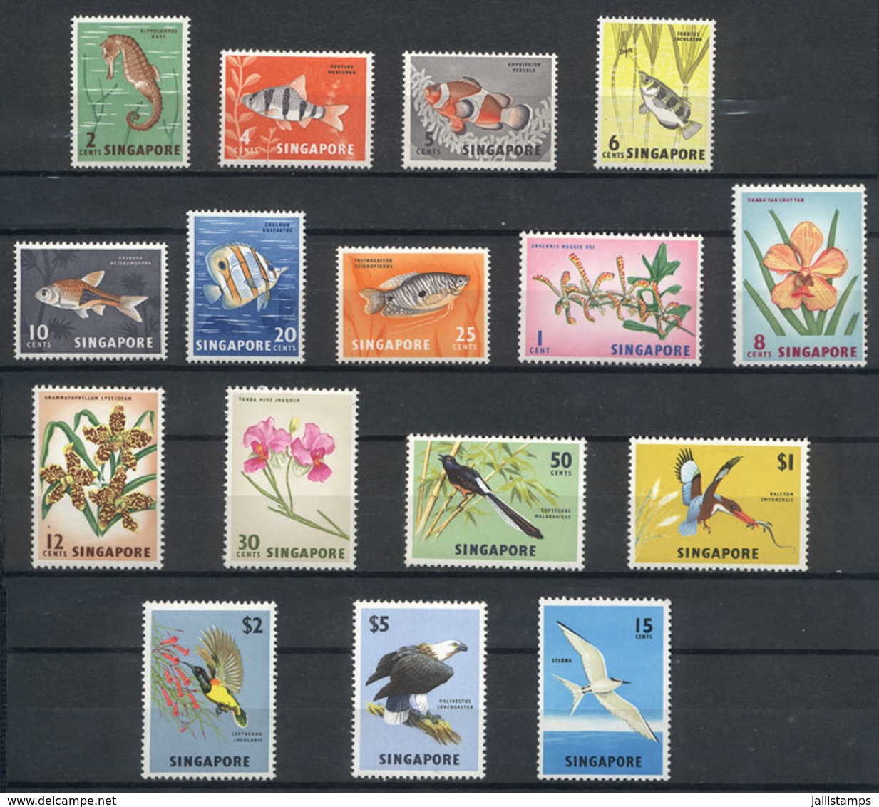 SINGAPORE: Sc.53/59 + 62/69 + 76, 1962/6 Fish, Birds And Flowers, Complete Set Of 16 Unmounted Values, Excellent Quality - Singapore (1959-...)