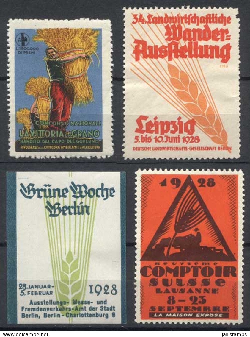 WORLDWIDE: Lot Of 4 Old Cinderellas Of Different Countries, Topic WHEAT, VF! - Otros & Sin Clasificación