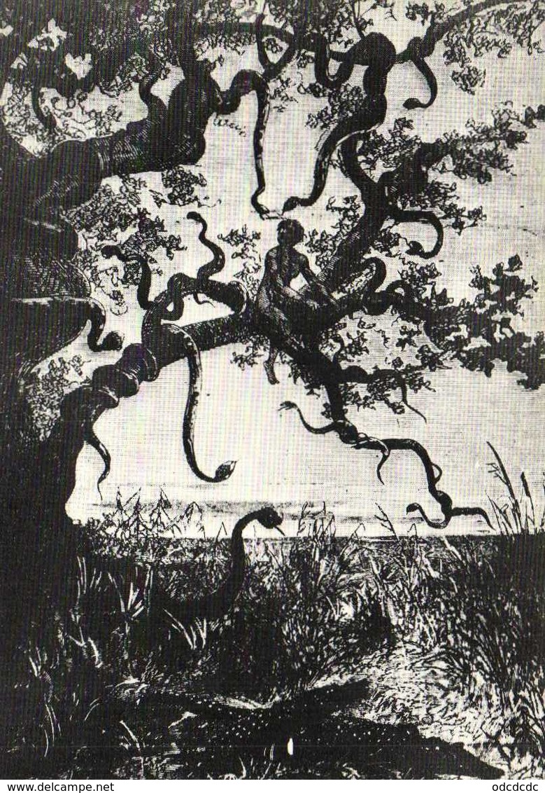 JULES VERNE "L'arbre Aux Serpents" Cinq Semaines En Ballon 1863 Dessinateur RIOU  Graveur PANNEMAKER  RV - Peintures & Tableaux