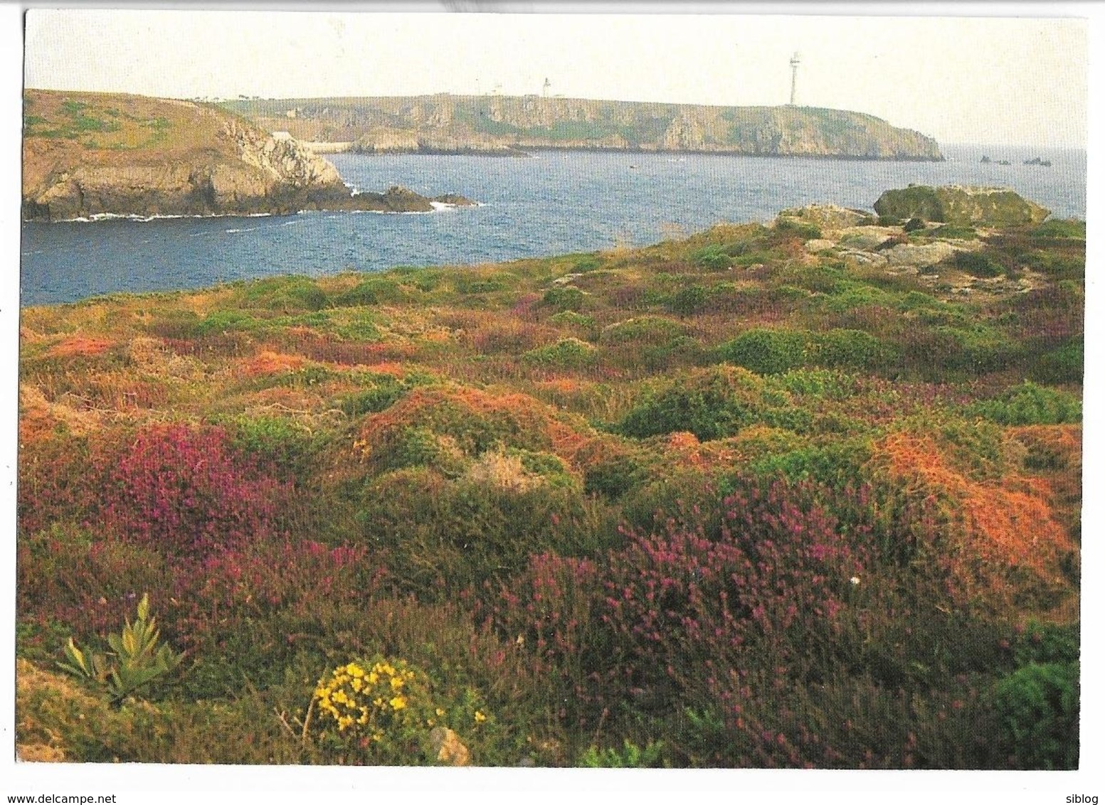 CPM/CPSM - L'ÎLE D'OUESSANT - Les Landes D'Arland à L'est - Ouessant