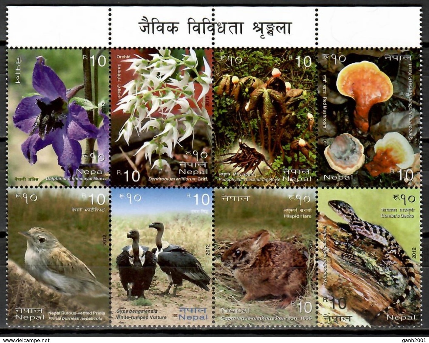 Nepal 2012 / Birds Flowers Mushrooms MNH Aves Flores Setas Vögel Blumen Pilzen / Cu11832  C5 - Otros & Sin Clasificación