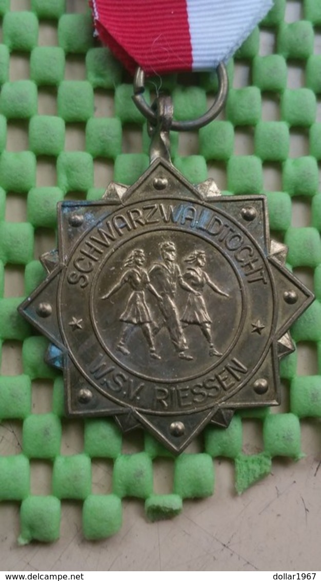 Medaille / Medal - Medaille - Schwarzwaldtocht Riessen ( Rijssen ) - The Netherlands - Sonstige & Ohne Zuordnung