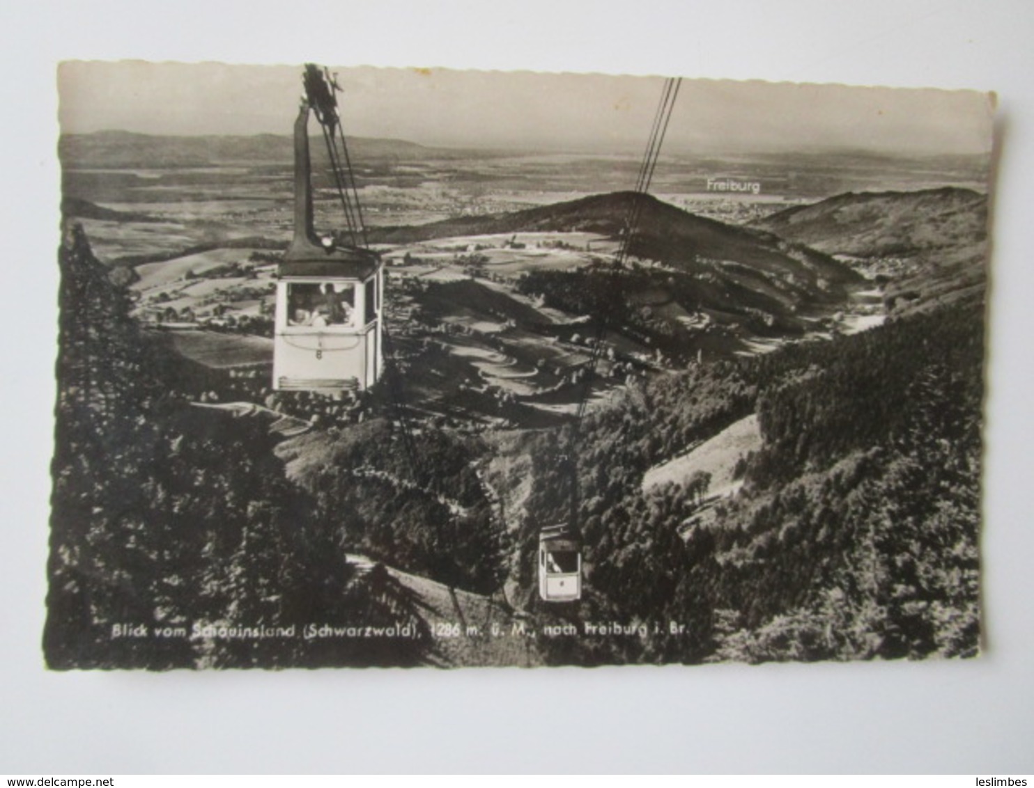 Blick Vom Schauinstand (Schwarzwald), 1286 M. U. M., Nach Freiburg - Freiburg I. Br.