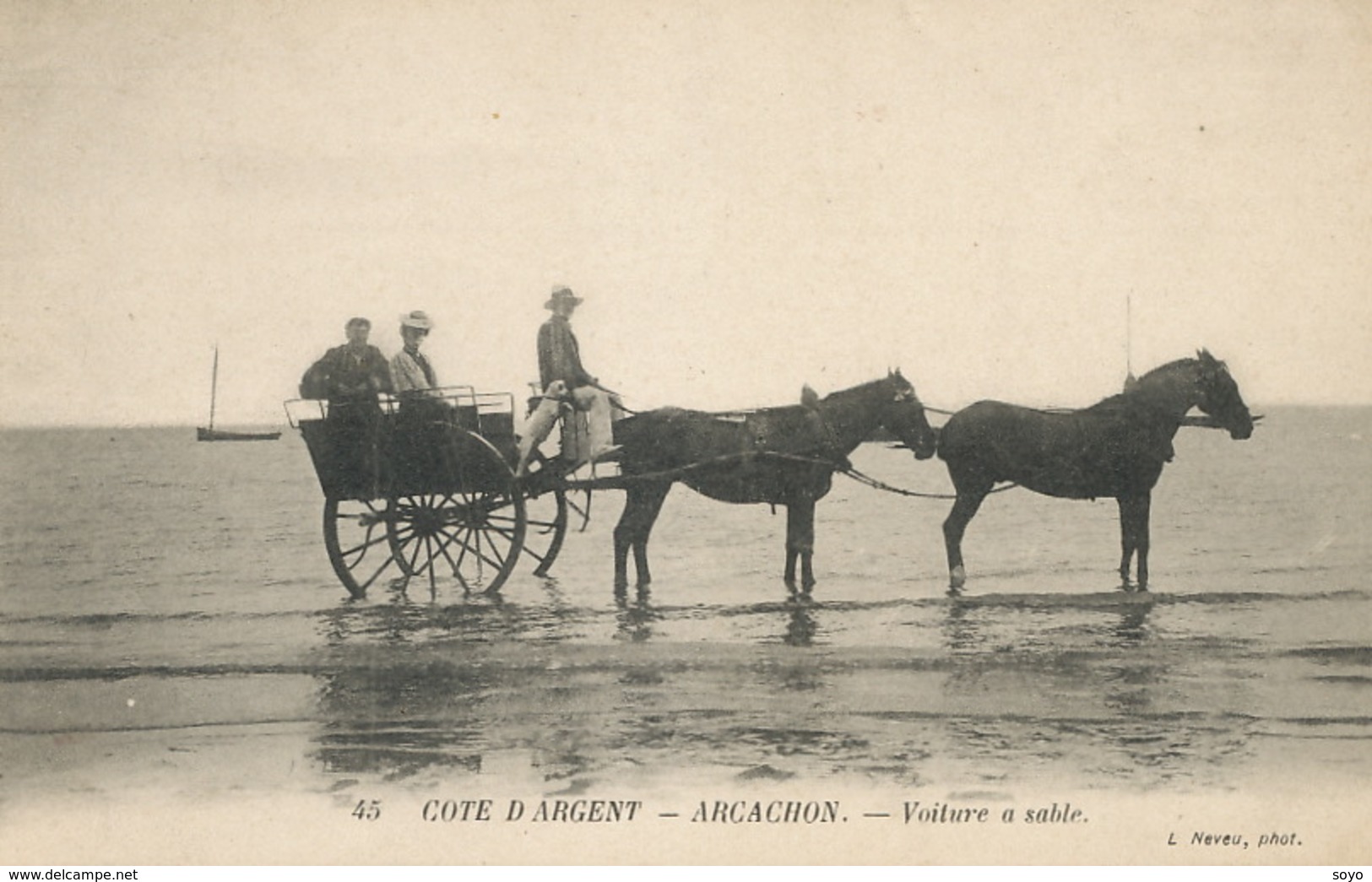 Attelage De 2 Chevaux à Arcachon Voiture à Sable - Chevaux