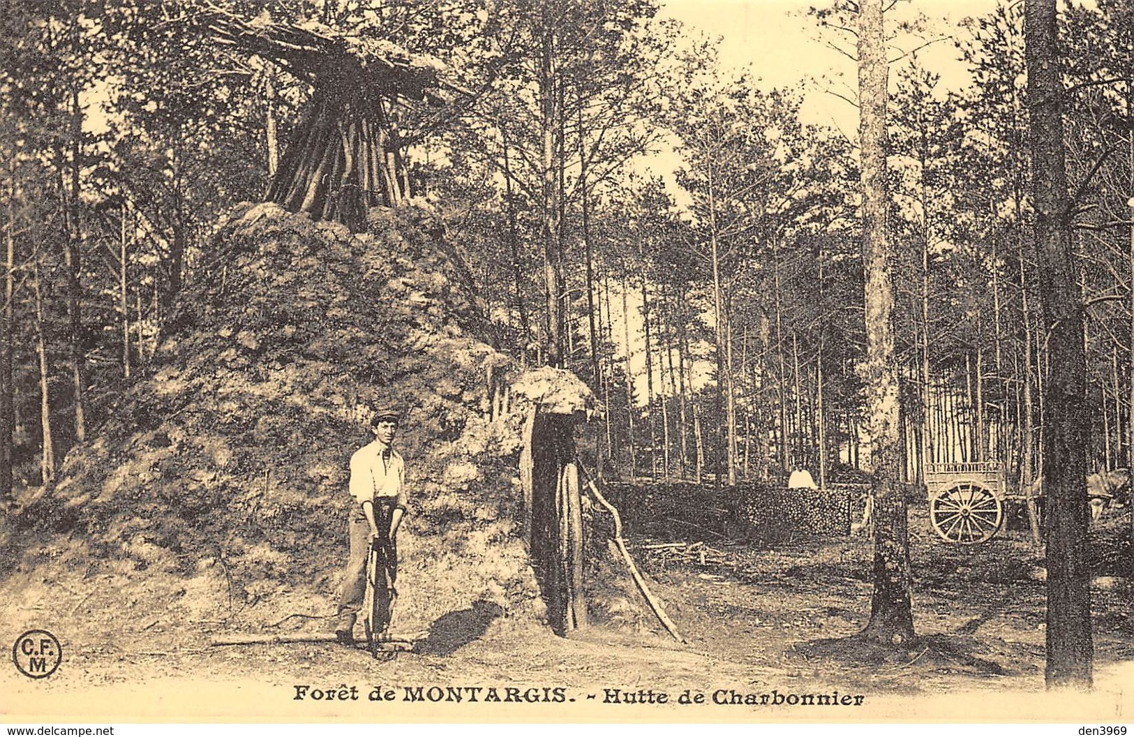 Forêt De Montargis - Hutte De Charbonnier - Cecodi N'223 - Montargis