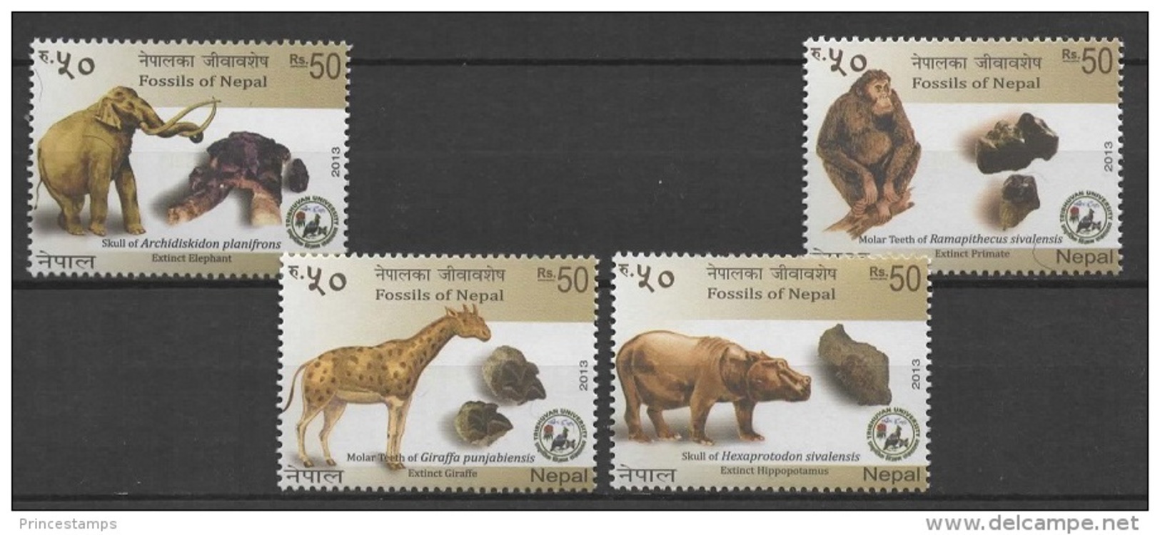 Nepal (2013) - Set -  /  Fossils - Extinct - Monkey - Elephant - Giraffe - Hippopotamus - Dinosaurs - Prehistory - Vor- U. Frühgeschichte