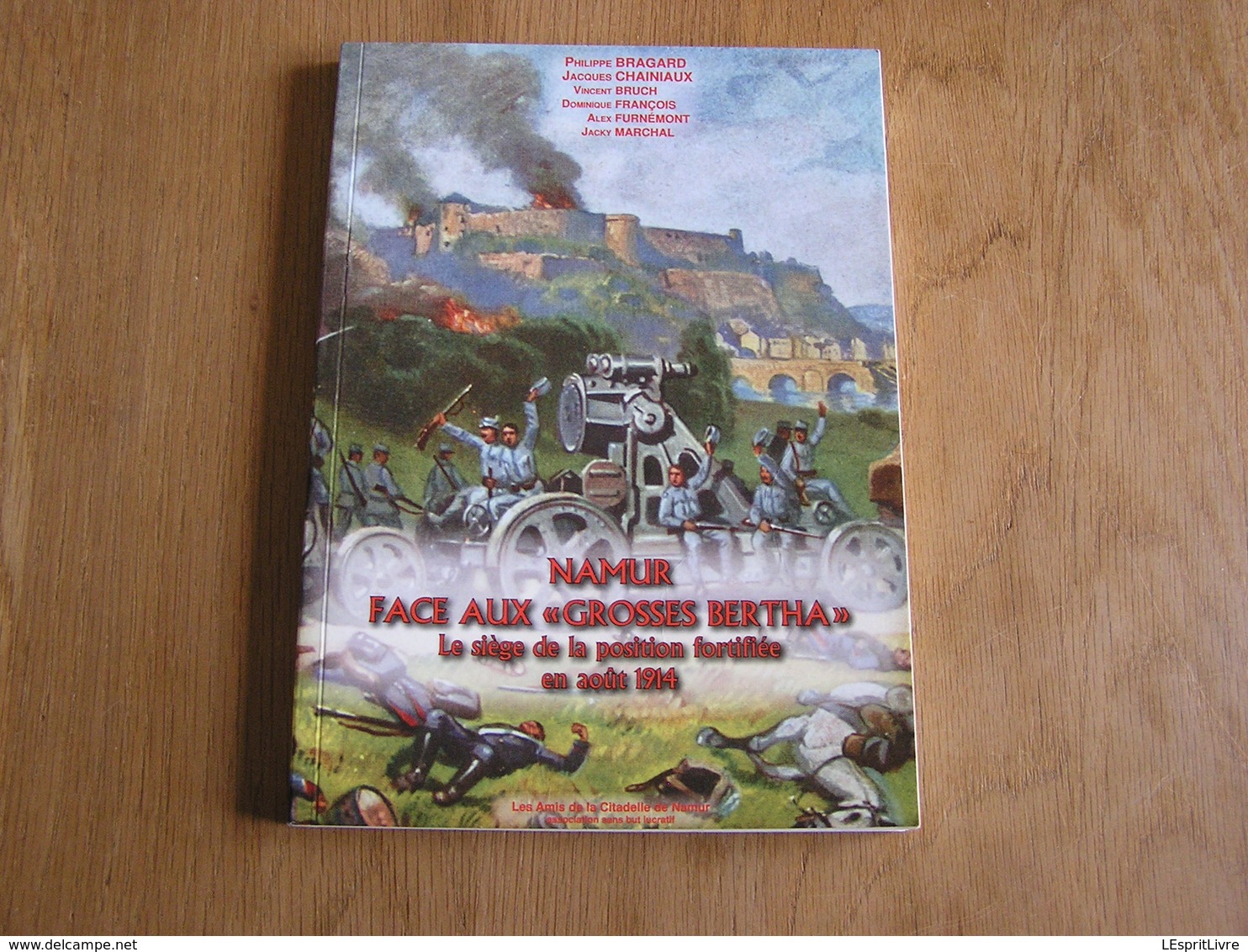 NAMUR Face Aux Grosses Bertha Août 1914 Régionalisme Guerre 14 18 Siège Posisition Fortifiée Forts Invasion Allemande - Guerre 1914-18